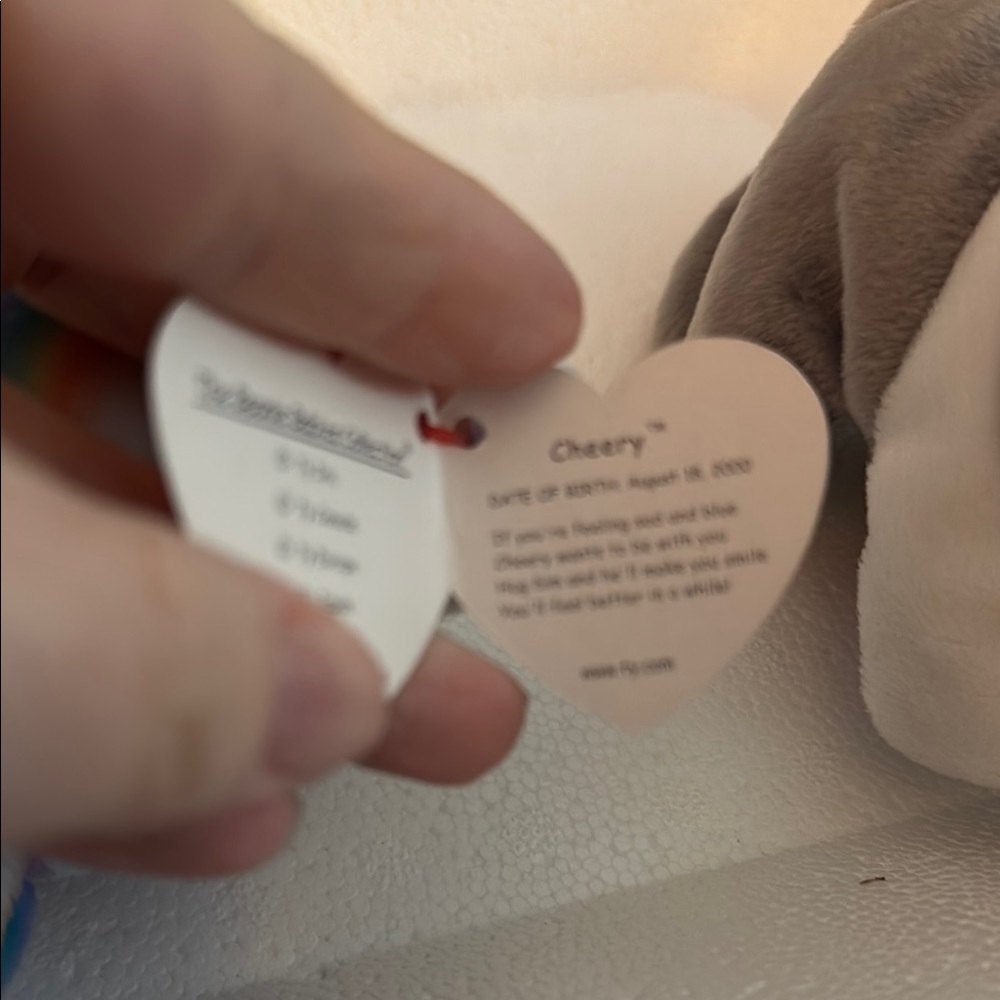 🩷2 for $10🩷 Make a bundle and I’ll send an offer Ty Multicolor Teddy Bear- Cheer - Picture 4 of 4
